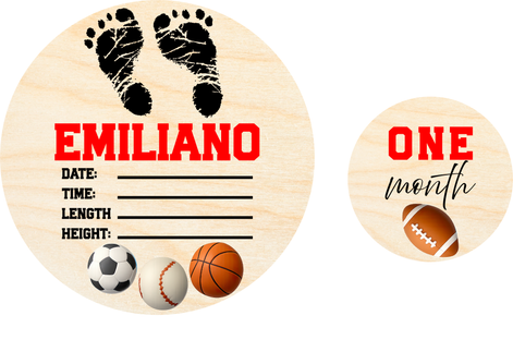 Custom Order Request - Baby Milestone Markers