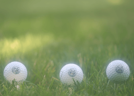 Custom UV Printed Golf Balls | Personalized Photo, Monogram or Logo | Pro V1, Supersoft, Kirkland - Stephanie's Creations