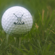 Custom UV Printed Golf Balls | Personalized Photo, Monogram or Logo | Pro V1, Supersoft, Kirkland - Stephanie's Creations
