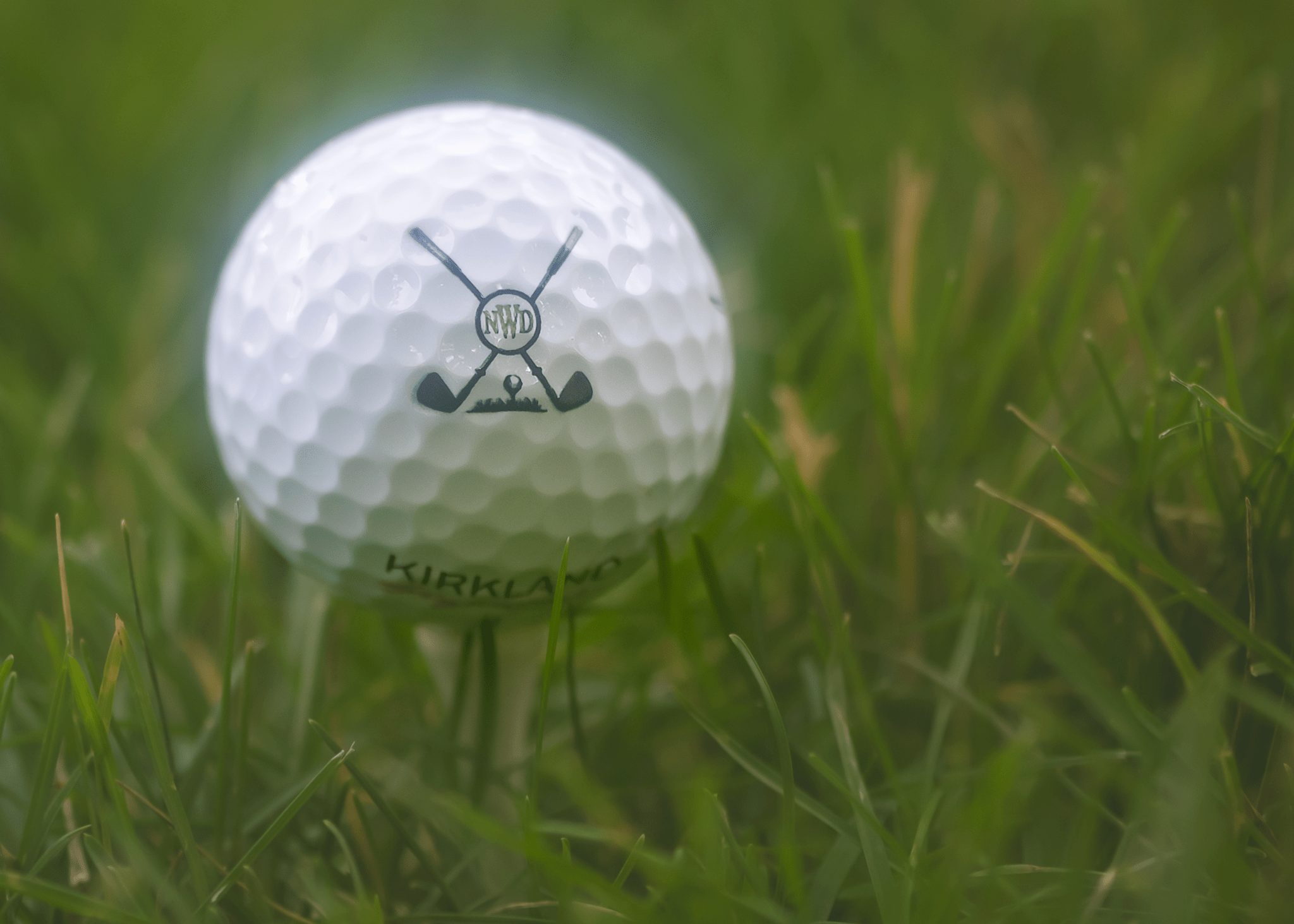 Custom UV Printed Golf Balls | Personalized Photo, Monogram or Logo | Pro V1, Supersoft, Kirkland - Stephanie's Creations